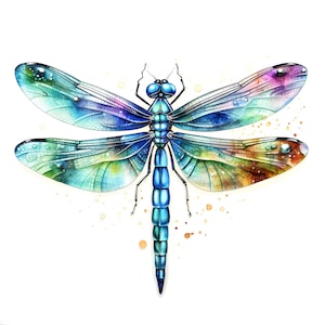 10 Gemstones Dragonfly Clipart, Printable Watercolor clipart, High Quality JPG, Digital download, High Resolution, Paper craft, junk journal