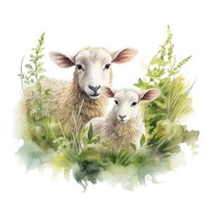 May include: A watercolor painting of a mother sheep and her lamb standing in a field of green grass and wildflowers. The sheep are white with fluffy fur and have sweet expressions on their faces.