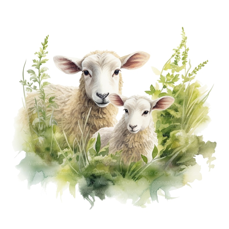 May include: A watercolor painting of a mother sheep and her lamb standing in a field of green grass and wildflowers. The sheep are white with fluffy fur and have sweet expressions on their faces.