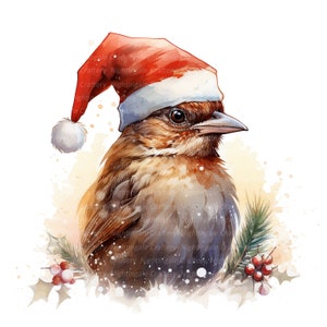 10 passeri con Santa Hat Clipart, clipart acquerello stampabile, JPG di alta qualità, download digitale, artigianato con la carta, diari spazzatura