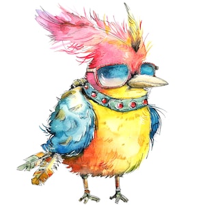 12 Bird Punk Clipart, Pájaros caprichosos, Imágenes prediseñadas de acuarela imprimibles, JPG de alta calidad, Descarga digital, Artesanía en papel, diarios basura