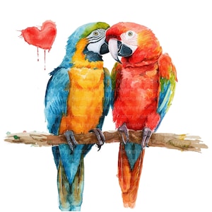 8 cliparts romantiques perroquets, couple de perroquets, clipart aquarelle imprimable, fichiers JPG de haute qualité, téléchargement numérique, créations en papier, journal indésirable
