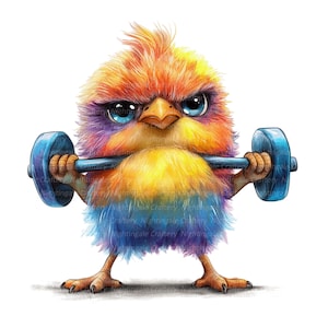 12 imágenes prediseñadas de aves divertidas y fitness, imágenes prediseñadas digitales, imágenes prediseñadas de acuarela, archivos JPG de alta calidad, imágenes prediseñadas imprimibles, descarga digital