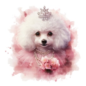 12 clipart de poodle vintage, cool pudel, clipart em aquarela para impressão, JPGs de alta qualidade, download digital, artesanato em papel, diário de lixo eletrônico