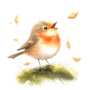 10 cliparts de Noël Robin, Robin chantant, art mural, clipart aquarelle imprimable, fichiers JPG de haute qualité, téléchargement numérique, créations en papier, journal