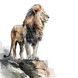 K&ouml;nnte beinhalten: Ein Aquarellbild eines majest&auml;tischen L&ouml;wen mit einer dicken M&auml;hne, der auf einer felsigen Klippe steht. Der L&ouml;we blickt nach rechts, mit einem ernsten Ausdruck im Gesicht. Der Hintergrund ist ein sanftes Wei&szlig; mit einem Hauch von Blau.