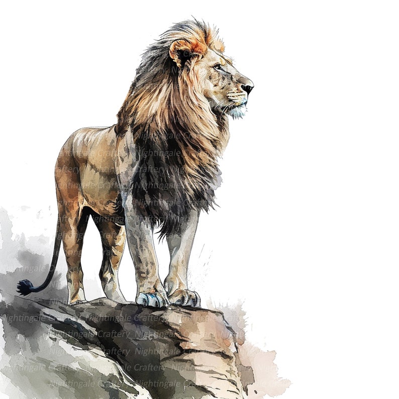 K&ouml;nnte beinhalten: Ein Aquarellbild eines majest&auml;tischen L&ouml;wen mit einer dicken M&auml;hne, der auf einer felsigen Klippe steht. Der L&ouml;we blickt nach rechts, mit einem ernsten Ausdruck im Gesicht. Der Hintergrund ist ein sanftes Wei&szlig; mit einem Hauch von Blau.
