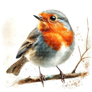 10 kerst Robin clipart, close-up, kunst aan de muur, afdrukbare aquarel clipart, hoge kwaliteit jpg's, digitale download, Paper Craft, ongewenste tijdschriften