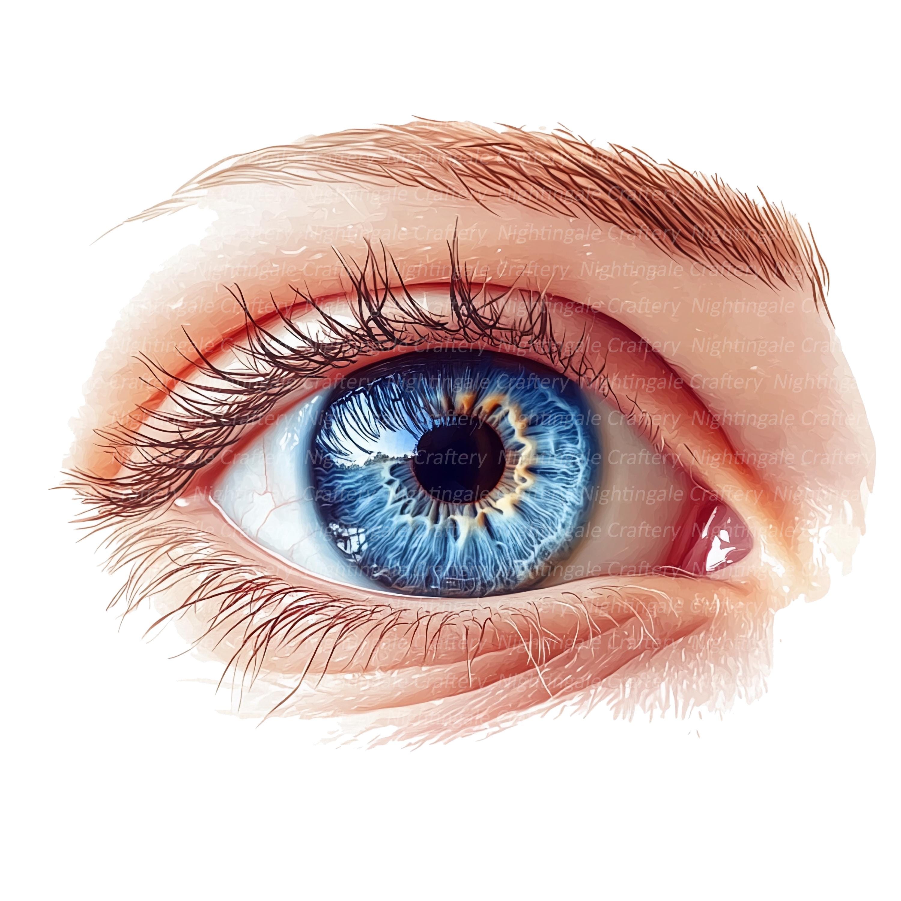 リアルな目のクリップアート11点、人間の目のクリップアート、印刷可能