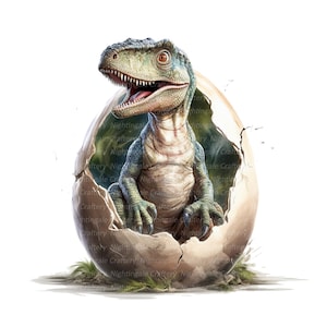 14 Dinosaur Hatching Clipart, Dinosaur Egg, Printable Watercolor ...