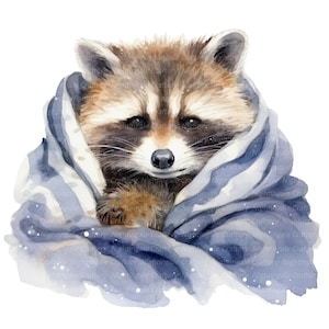 9 Clipart raton laveur, raton laveur d'hiver, clipart aquarelle imprimable, fichiers JPG de haute qualité, téléchargement numérique, créations en papier, journal de bordel