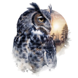 11 Eulen Wandkunst, Eulen Foto, Mondlicht, druckbare Wandkunst, hochwertige JPGs, digitaler Download, hohe Auflösung, T-Shirt-Design, Sublimation