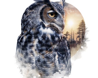 11 Owl Wall Art, Owl Photo, Moonlight, Printable Wall Art, High Quality JPGs, Digital download, High resolution, T-shirt design, Sublimation