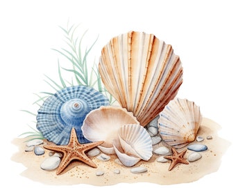 12 Sea Shells Clipart, Seashell Clipart, Printable Watercolor clipart, High Quality PNG, Digital download, Paper craft, junk journal