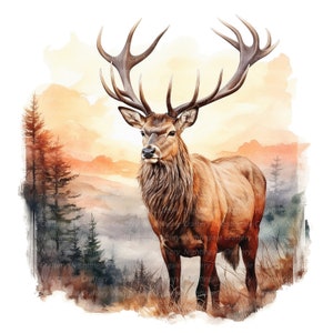 Può includere: Un dipinto ad acquerello di un cervo rosso maschio in piedi in una radura del bosco. Il cervo ha grandi corna e un mantello marrone. Lo sfondo è un acquerello di colore arancione e giallo, che suggerisce un tramonto.
