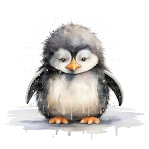 10 imágenes prediseñadas de pingüino gruñón, imágenes prediseñadas de pingüino lindo, imágenes prediseñadas digitales, imágenes prediseñadas de acuarela, JPG de alta calidad, imágenes prediseñadas imprimibles, descarga digital