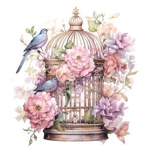 14 bloemen vogelkooi clipart, bloem vogels, afdrukbare aquarel clipart, hoge kwaliteit jpg's, digitale download, Paper Craft, ongewenste tijdschriften