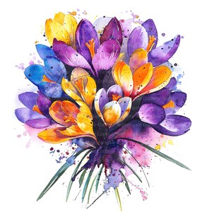 Peut inclure: Aquarelle d'un bouquet de fleurs de crocus aux couleurs jaune, violet, orange et bleu. Les fleurs ont des tiges vertes et sont posées sur un fond d'éclaboussures de peinture à l'aquarelle.
