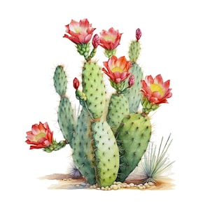 14 Cactus in Desert Clipart, Blooming Cactus, Printable Watercolor clipart, High Quality JPGs, Digital download, Paper craft, junk journals