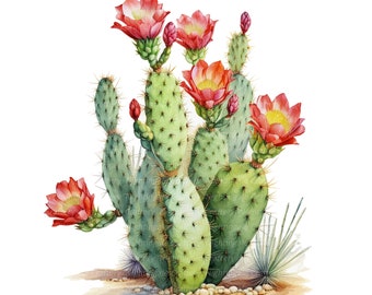 14 Cactus in Desert Clipart, Blooming Cactus, Printable Watercolor clipart, High Quality JPGs, Digital download, Paper craft, junk journals