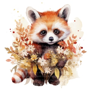 8 Panda vermelho com flores Clipart, clipart aquarela para impressão, JPGs de alta qualidade, download digital, artesanato em papel, diários de lixo