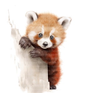 12 rode panda baby clipart, afdrukbare aquarel clipart, hoge kwaliteit jpg's, digitale download, hoge resolutie, papier ambachten, junk tijdschriften