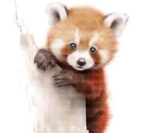 12 Roter Panda Baby Clipart, druckbare Aquarell Clipart, hochwertige JPGs, digitaler Download, hohe Auflösung, Papierhandwerk, Junk Journals