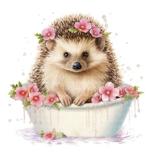 Hedgehog In Bath Clipart, clipart acquerello stampabile, 14 JPG di alta qualità, download digitale, alta risoluzione, artigianato di carta