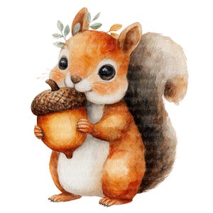 May include: Watercolor illustration of a cute squirrel holding a large acorn. The squirrel has orange fur, a fluffy tail, and a small leafy crown. The acorn is brown and tan.