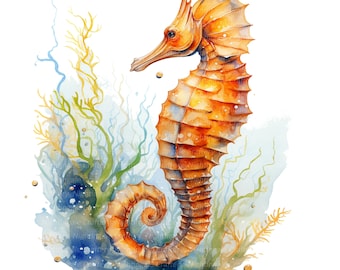 12 Seahorse Clipart, Hippocampus, Printable Watercolor clipart, High Quality JPG, Digital download, Paper craft, junk journal