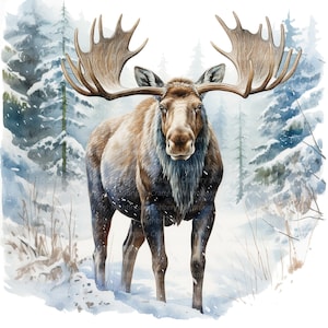 10 Moose in Winter Clipart, Printable Watercolor clipart, High Quality JPGs, Digital download, High resolution, Paper crafts, junk journals