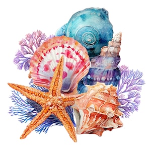 8 PNG Seashells Clipart, Sea shell Corals, Printable Watercolor clipart, High Quality PNGs, Digital download, Paper craft, junk journal