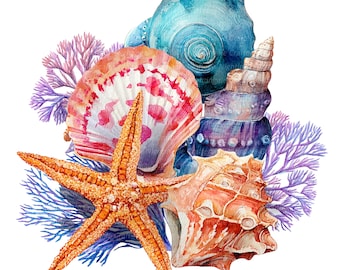 8 png schelpen clipart, zeeschelp koralen, afdrukbare aquarel clipart, hoge kwaliteit png's, digitale download, papercraft, junk journal