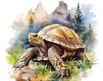 12 Schildkröte Clipart, Schildkröte Clipart, druckbare Aquarell Clipart, hochwertige JPG / PNGs, digitaler Download, Papiermodell, Junk-Journal