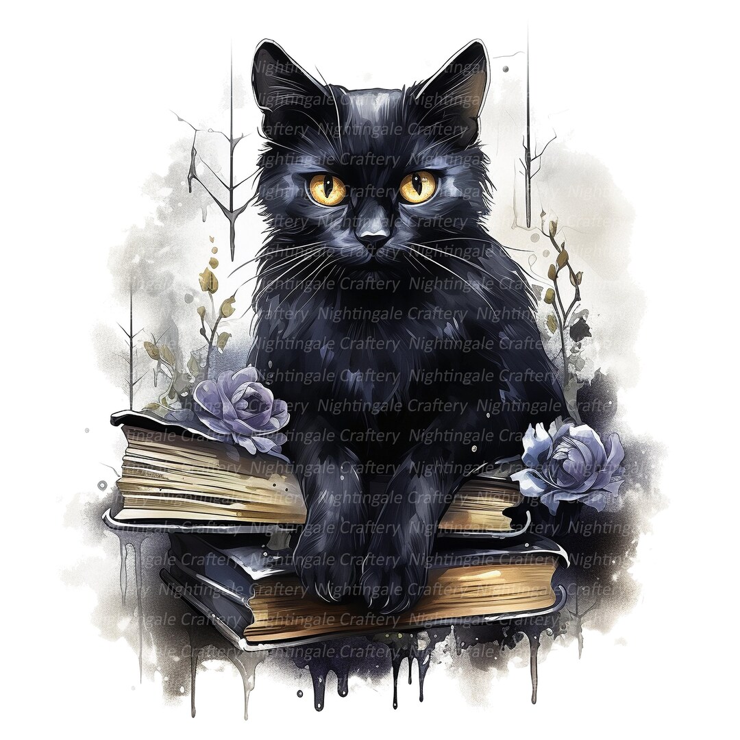 ミュージック BLACK CATS & MAGIC Photo Book + DVD BLACK CATS & MAGIC Photo Book + DVD ミュージック