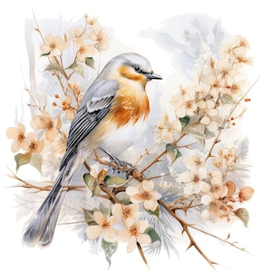 12 kerstvogels clipart, gouden thema, Robin, afdrukbare aquarel clipart, hoge kwaliteit png's, digitale download, Paper Craft, ongewenste tijdschriften
