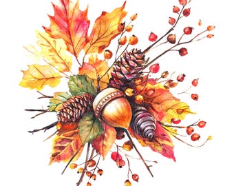 May include: Watercolor painting of a fall bouquet with red berries, brown acorns, pine cones, and yellow, orange, and red leaves.