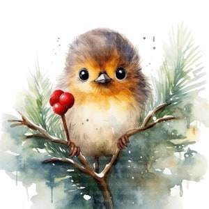 12 Cute Little Robin Clipart, Robin di Natale, clipart acquerello stampabile, JPG di alta qualità, download digitale, artigianato di carta, diario spazzatura