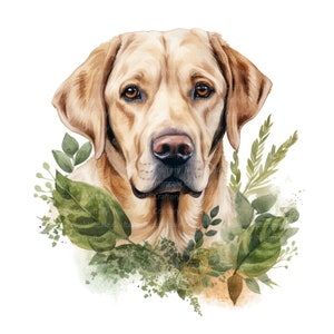 Może przedstawiać: Aquarela przedstawiająca psa rasy golden retriever otoczonego zielonymi liśćmi. Pies patrzy bezpośrednio na widza z łagodnym wyrazem twarzy.