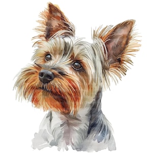 10 Yorkshire Terrier clipart, afdrukbare aquarel clipart, hoge kwaliteit JPG, digitale download, Paper Craft, junk journal, Terriër print