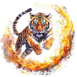 10 tigres sautant à travers le feu, Circus Tiger Clipart, clipart aquarelle imprimable, fichiers JPG de haute qualité, téléchargement numérique, travaux manuels en papier