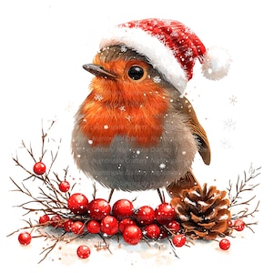 9 Noël Robin Clipart lot 4, carte de Noël, clipart aquarelle imprimable, fichiers JPG de haute qualité, téléchargement numérique, créations en papier, journaux intimes
