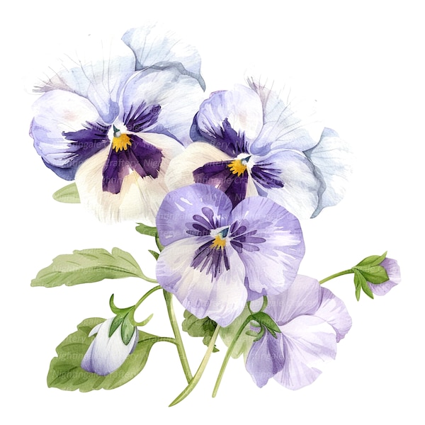 11 Pansy Clipart, Pansies Flowers, Printable Watercolor clipart, High Quality JPGs, Digital download, Paper craft, junk journal