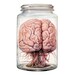 8 Human Brain in Jar Clipart Halloween Printable Watercolor - Etsy