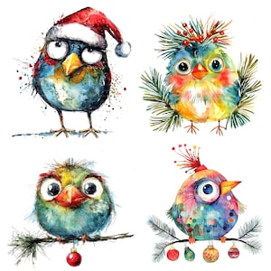 16 cliparts lunatiques oiseaux, oiseaux de Noël, clipart numérique, clipart aquarelle, JPG de haute qualité, clipart imprimable, téléchargement numérique