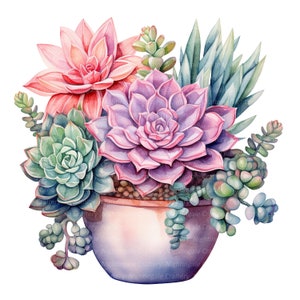 May include: A watercolor painting of a potted succulent arrangement. The arrangement features a variety of succulents in shades of pink, green, and purple. The succulents are arranged in a terracotta pot with a light purple glaze.