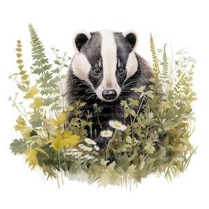 Badger in Meadow Clipart, Printable Watercolor clipart, 10 High Quality PNGs, Digital download, High resolution, Paper crafts, junk journals