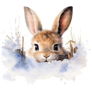 12 Hiding Bunny Snow Clipart, Bunny Clipart, Printable Watercolor ...