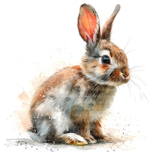 12 Osterhase Clipart, Kaninchen Clipart, druckbare Aquarell Clipart, hohe Qualität PNG / JPGs, digitaler Download, Papiermodell, Junk Journals