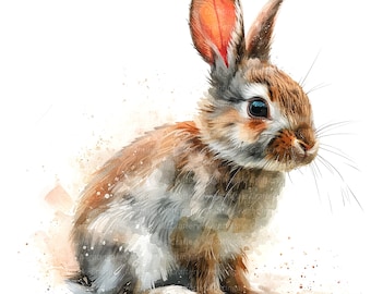 12 cliparts lapin de Pâques, lapin clipart, clipart aquarelle imprimable, haute qualité PNG/JPG, téléchargement numérique, créations en papier, journaux indésirables